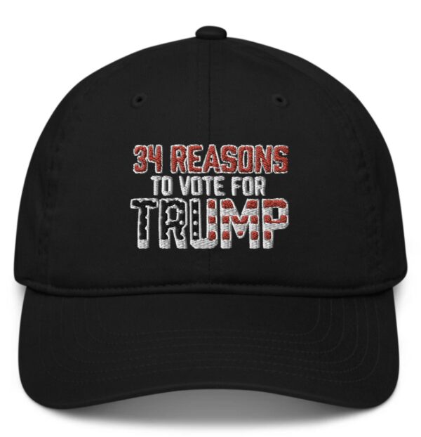 34 Reasons To Vote For Trump Hat