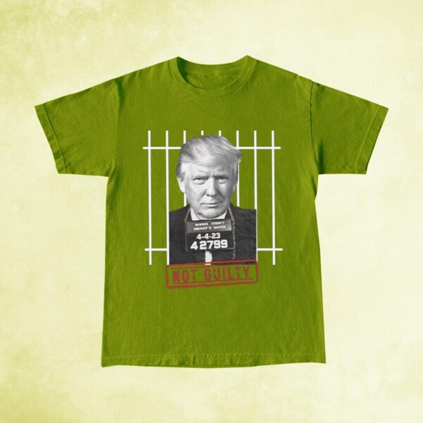 Donald Trump Not Guilty: Show Your Support with Our Exclusive T-Shirt