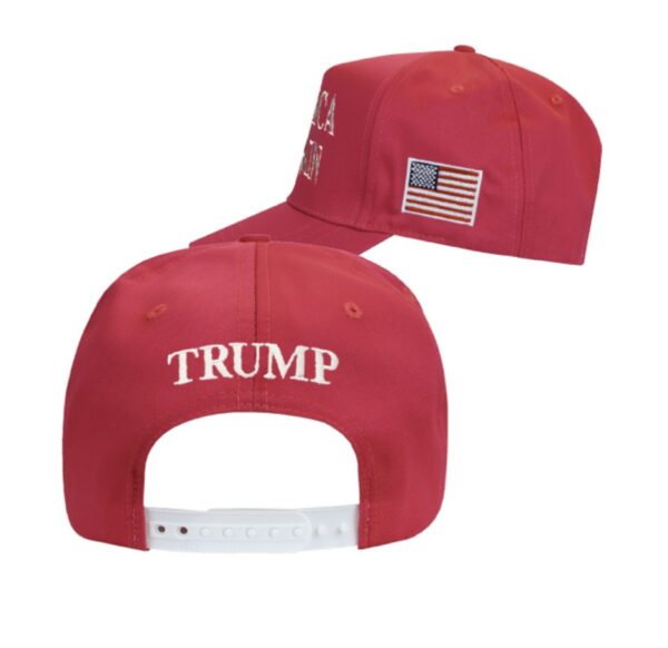 Official Trump MAGA 45-47 Pink Hats