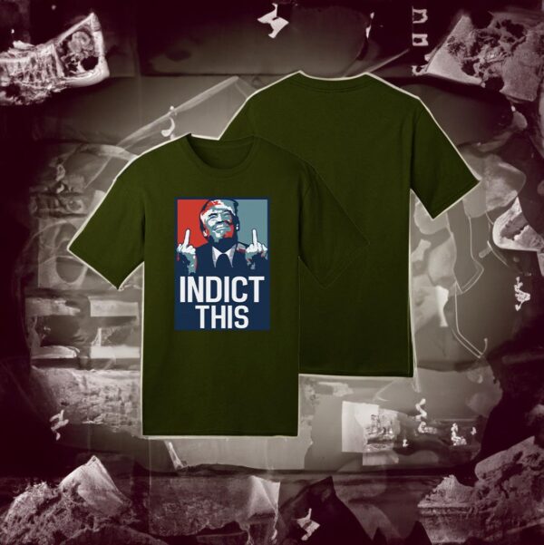 Indict Trump 2024: Show Your Support with This Bold T-Shirt - Image 2