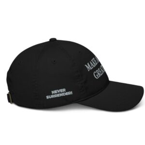 Trump 2024 Never Surrender Black MAGA Baseball Cap Hats