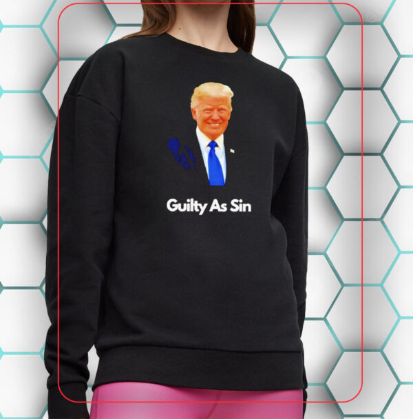 Trump 2024: Guilty as Sin - Image 3