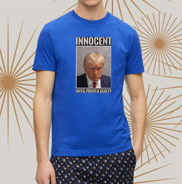 Trump INNOCENT UNTIL PROVEN GUILTY: Stand for Justice and Due Process - Image 2