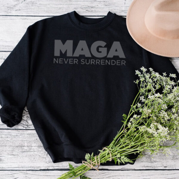 Unleash Your Patriotism: Trump MAGA NEVER SURRENDER Hoodie