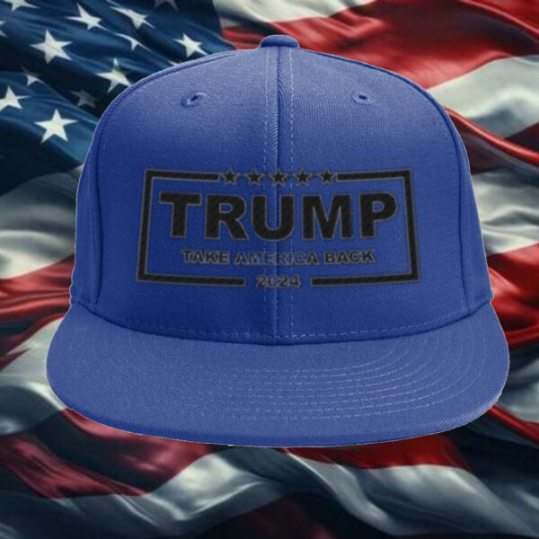 Trump 2024: Take America Back Embroidered Hat - Image 3