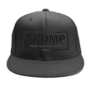 Trump Take America Back 2024 Hat