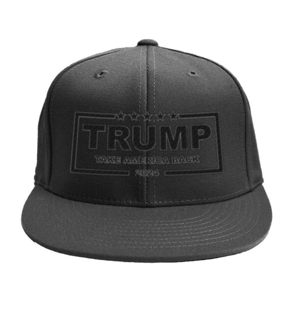 Trump Take America Back 2024 Hat