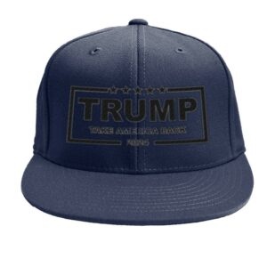 Trump Take America Back 2024 Hat Cap