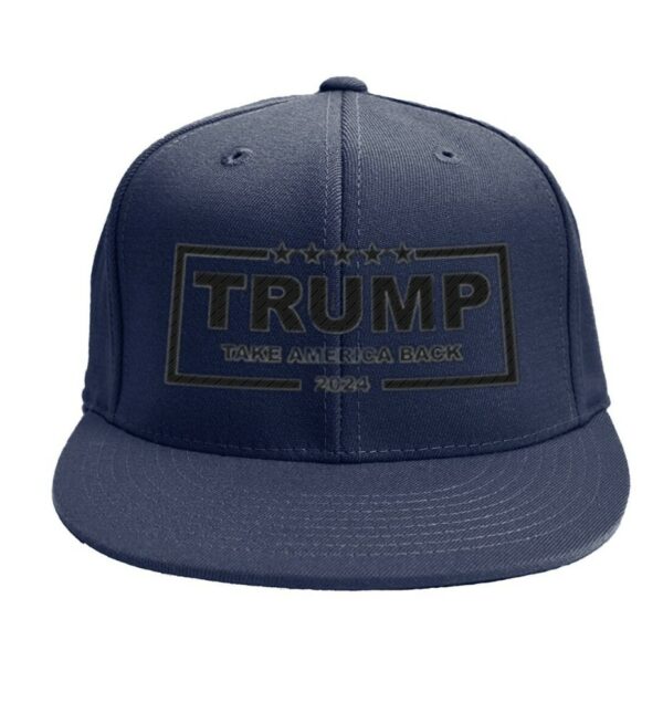 Trump Take America Back 2024 Hat Cap