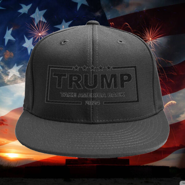 Trump 2024: Take America Back Embroidered Hat