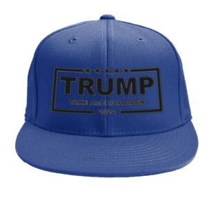 Trump Take America Back 2024 Hats