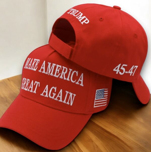 Donald Trump 2024 MAGA Patriots Hat