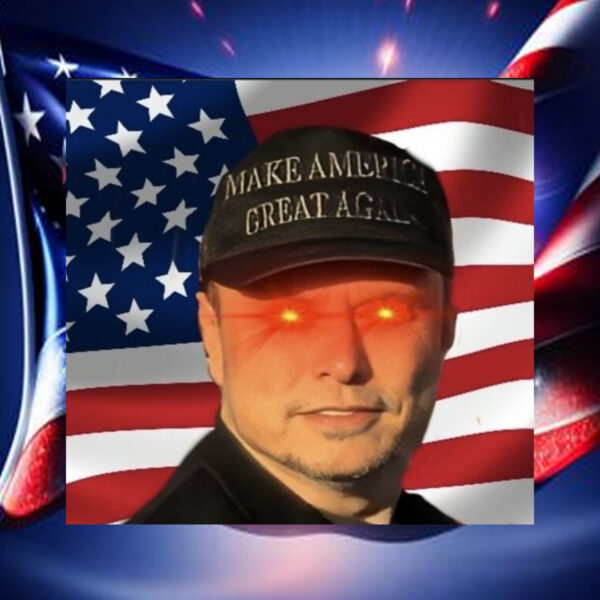 Elon Musk MAGA Hat