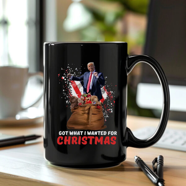 Got What I Wanted For Christmas 2024 Mug