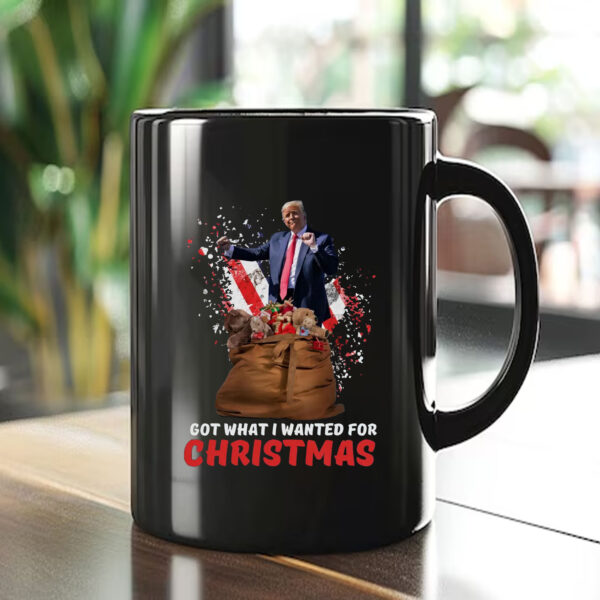 Got What I Wanted For Christmas 2024 Mug1