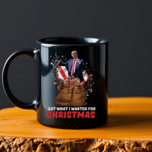 Got What I Wanted For Christmas 2024 Mug2