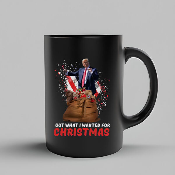 Got What I Wanted For Christmas 2024 Mug3