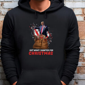 Got What I Wanted For Christmas 2024 Sweatshirt , T-shirt , Hoodie , Long Sleeve T-Shirt