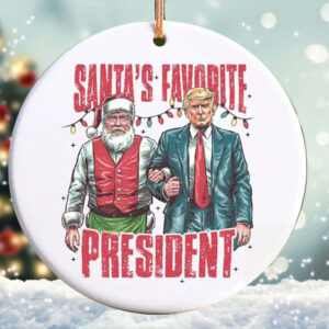 Trump 2024 Ornament, Funny Trump Ornament, President Trump Supporter Gift