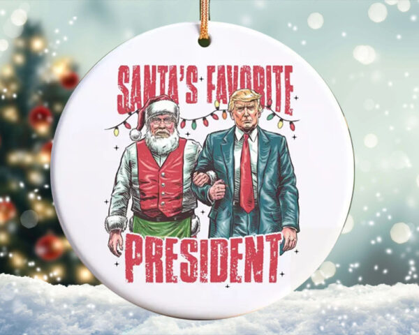 Trump 2024 Ornament, Funny Trump Ornament, President Trump Supporter Gift