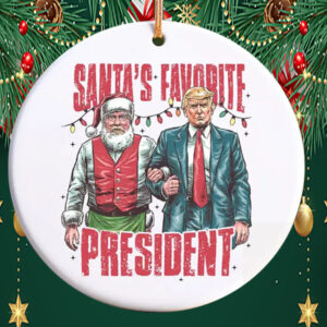 Trump 2024 Ornament, Funny Trump Ornament, President Trump Supporter Gift1