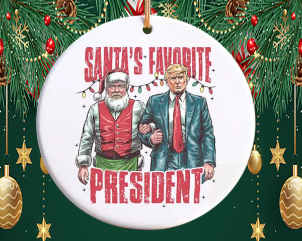 Trump 2024 Ornament, Funny Trump Ornament, President Trump Supporter Gift1