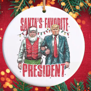 Trump 2024 Ornament, Funny Trump Ornament, President Trump Supporter Gift2