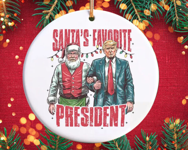 Trump 2024 Ornament, Funny Trump Ornament, President Trump Supporter Gift2