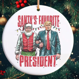 Trump 2024 Ornament, Funny Trump Ornament, President Trump Supporter Gift5