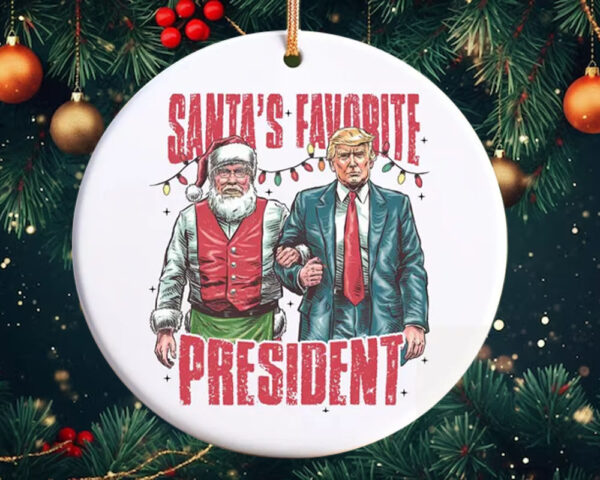 Trump 2024 Ornament, Funny Trump Ornament, President Trump Supporter Gift5